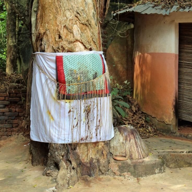 meilleur marabout voyant en France