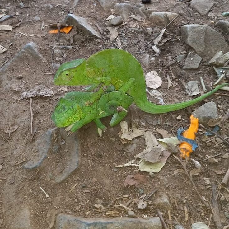 reconquérir son ex rapidement